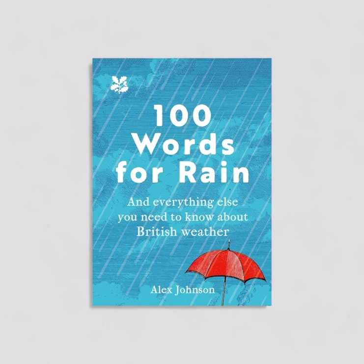 100 Words For Rain Book 100 Words For Rain Book