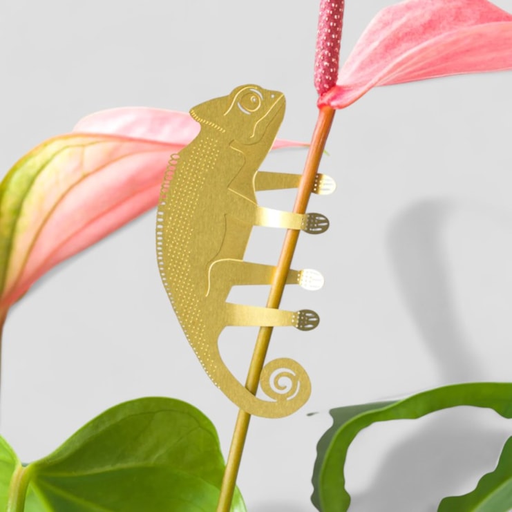 Plant Animal - Chameleon, Garden Decor Plant Animal - Chameleon, Garden Decor