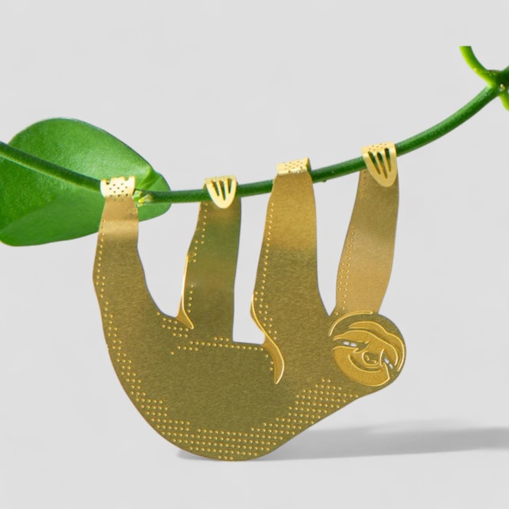 Plant Animal - Sloth, Cute Houseplant Gift Plant Animal - Sloth, Cute Houseplant Gift