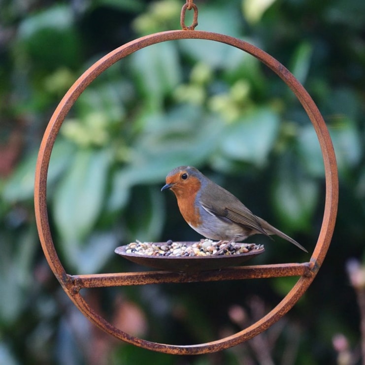 Hanging Bird Feeder Platform Ring