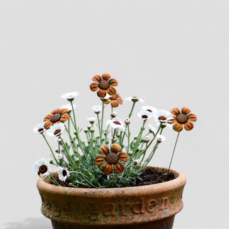 Rusty Metal Daisy