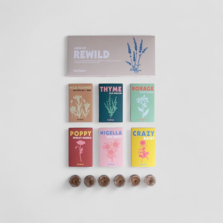Rewild Seed Grow Box Rewild Seed Grow Box