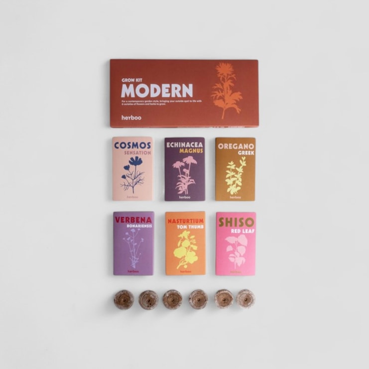 Modern Garden Seed Grow Box