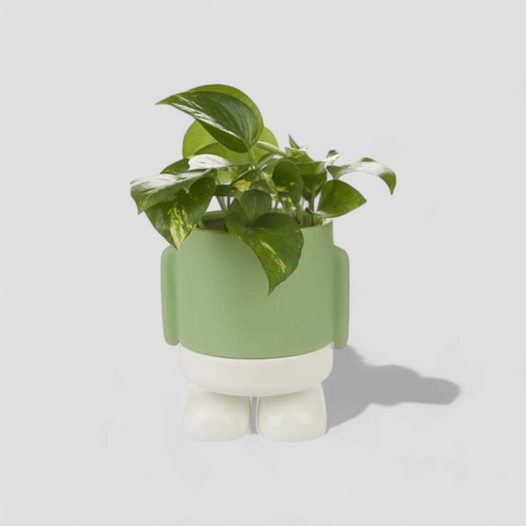 Mr Standy Plant Pot