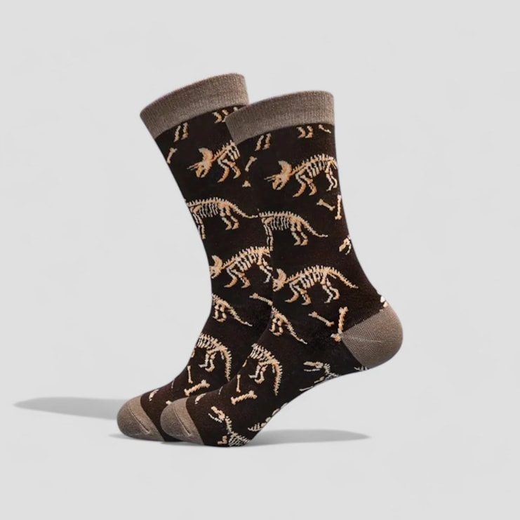 Dinosaur Socks Dinosaur Socks