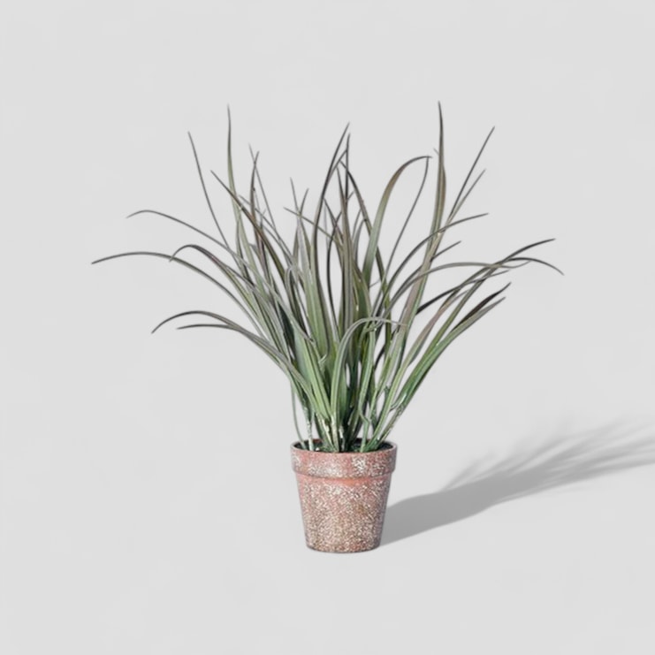Abigail Ahern Ombre Grass In Pot
