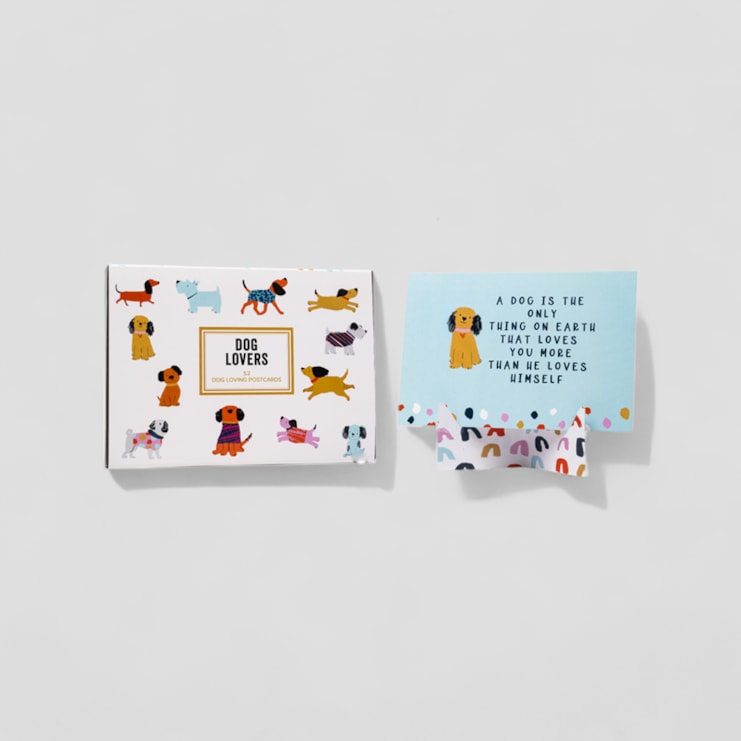 Positive Box Of Dog Lovers Postcards Positive Box Of Dog Lovers Postcards