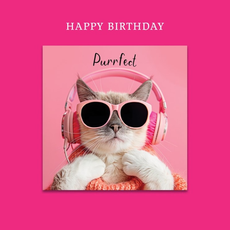 Magnet Card - Purrfect Magnet Card - Purrfect