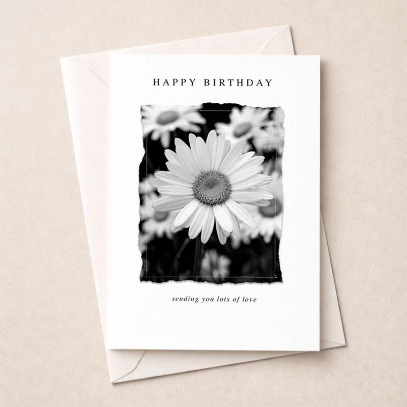 An image of Birthday Card - Daisies