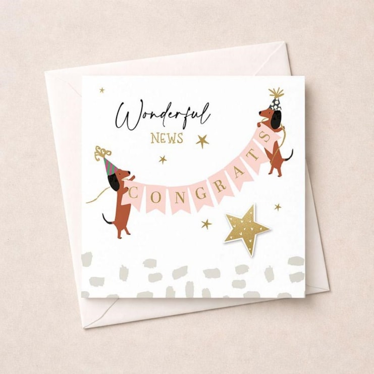 Congratulations Card - Daschunds Congratulations Card - Daschunds