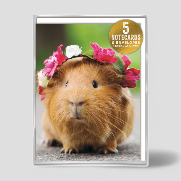 Small Notecards - Guineapig