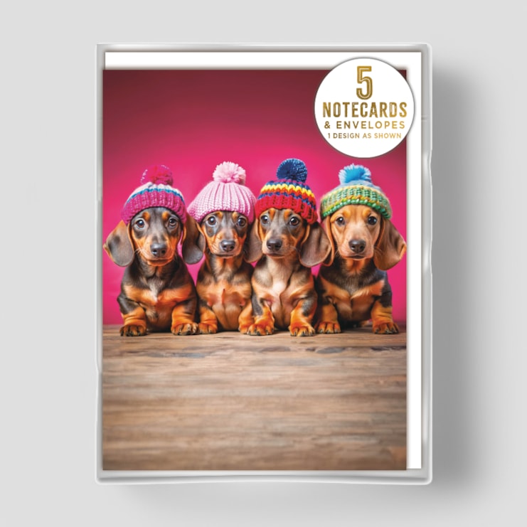 Small Notecards - Dachshunds in Hats