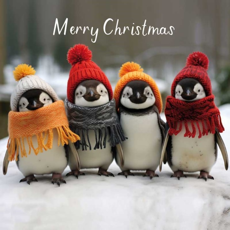 Christmas Card - Merry Christmas Penguins Christmas Card - Merry Christmas Penguins