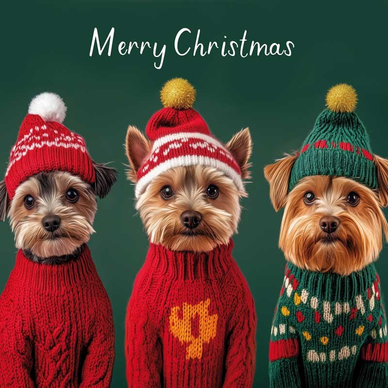 An image of Christmas Card - Merry Christmas Yorkshire Terriers