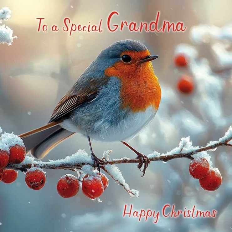 Grandma Christmas Card - Special Grandma Robin On Branch Grandma Christmas Card - Special Grandma Robin On Branch