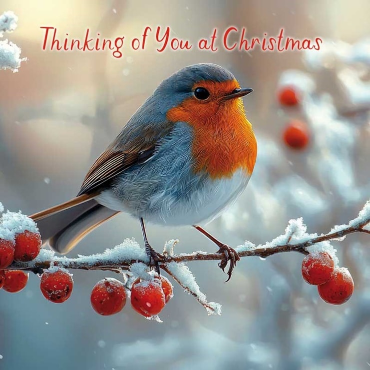 Christmas Card -  Thinking Of You At Christmas Robin On Branch