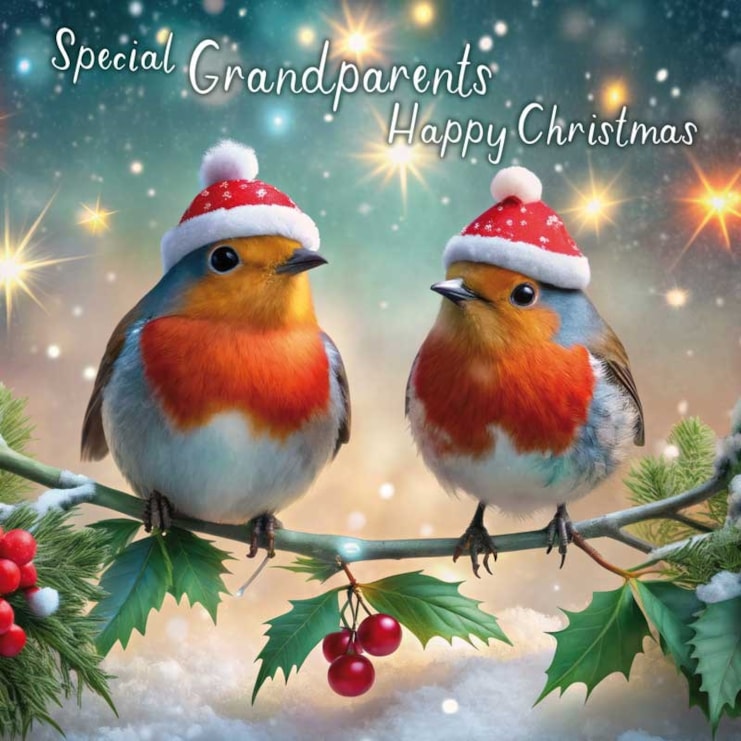 Grandparents Christmas Card - Special Auntie & Uncle Robins Grandparents Christmas Card - Special Auntie & Uncle Robins