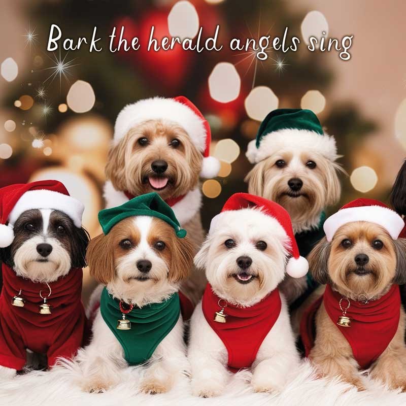 An image of Christmas Card - Bark The Herald Angels Sing