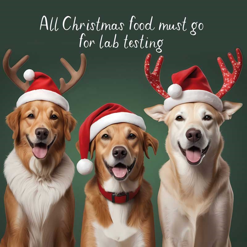 An image of Christmas Card - All Christmas Food Must Go For Lab Testing