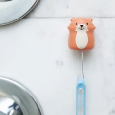 Toothbrush Holder Toothbrush Holder