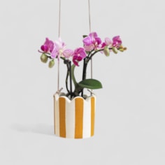 Hello Marilu Stripy Scalloped Hanging Plant Pots