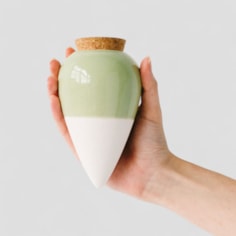 House Plant Water Resevoirs House Plant Water Resevoirs