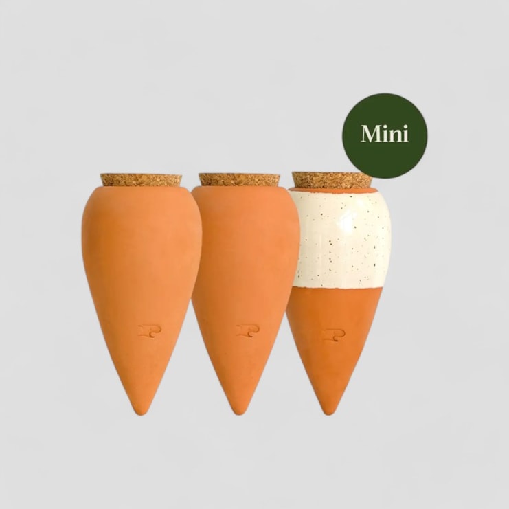 House Plant Water Resevoirs House Plant Water Resevoirs