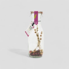 Water Twist Carafe Make Your Own Drinks