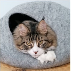 Pet Cocoon Beds Pet Cocoon Beds