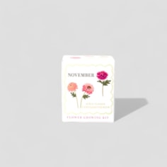 Birth Month Flower Gifts