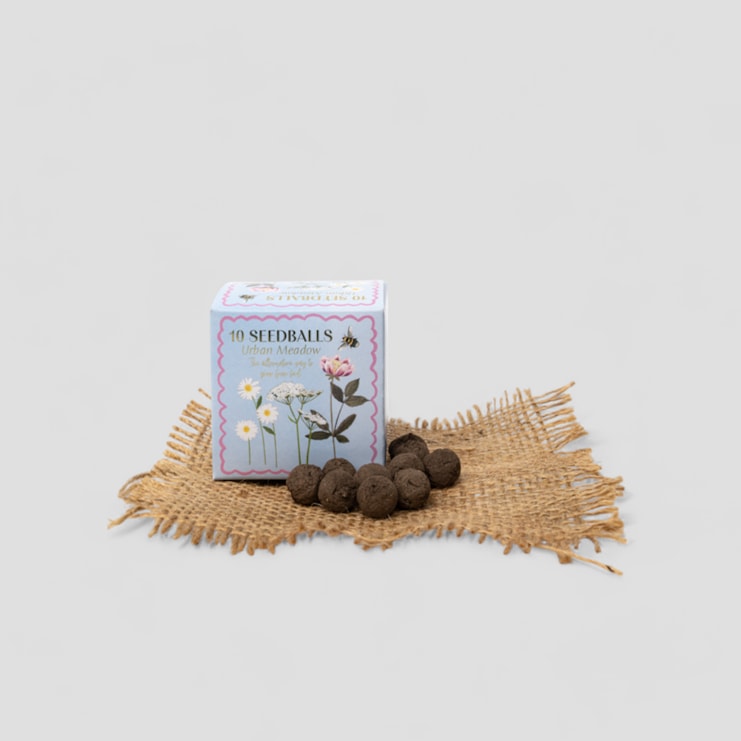 Urban Meadow Seedball Gift