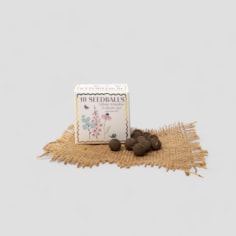Urban Meadow Seedball Gift Urban Meadow Seedball Gift
