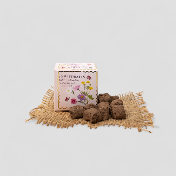 Urban Meadow Seedball Gift Urban Meadow Seedball Gift